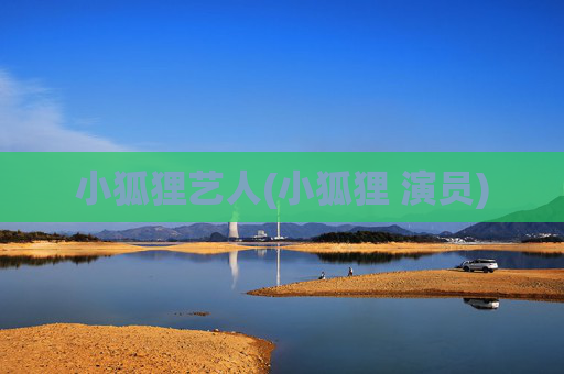 小狐狸艺人(小狐狸 演员)