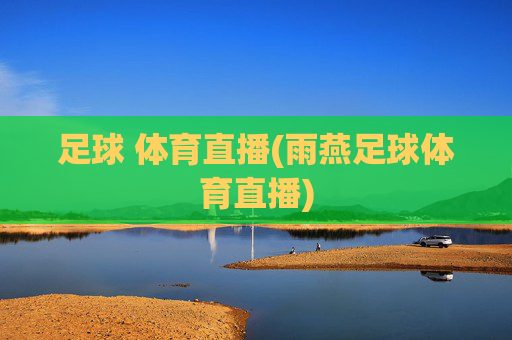 足球 体育直播(雨燕足球体育直播)