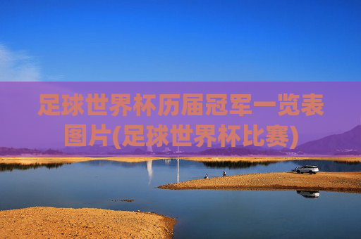 足球世界杯历届冠军一览表图片(足球世界杯比赛)