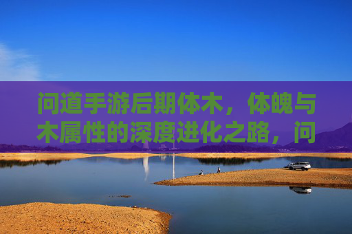 问道手游后期体木，体魄与木属性的深度进化之路，问道手游后期体木，体魄与木属性的深度进化之路