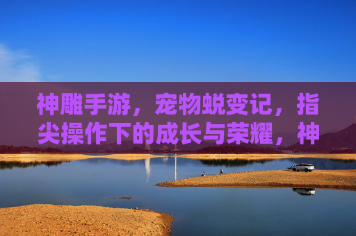 神雕手游,宠物蜕变记,指尖操作下的成长与荣耀,神雕手游,宠物蜕变记,指尖操作下的成长与荣耀