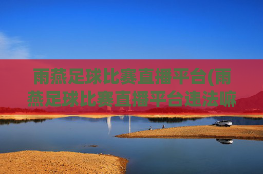 雨燕足球比赛直播平台(雨燕足球比赛直播平台违法嘛)