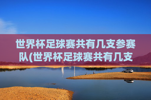世界杯足球赛共有几支参赛队(世界杯足球赛共有几支参赛队伍)