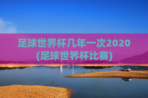足球世界杯几年一次2020(足球世界杯比赛)