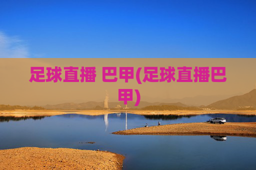 足球直播 巴甲(足球直播巴甲)