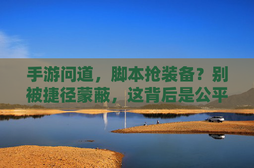手游问道，脚本抢装备？别被捷径蒙蔽，这背后是公平的代价，手游问道，脚本抢装备？别被捷径蒙蔽，这背后是公平的代价