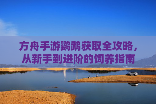 方舟手游鹦鹉获取全攻略,从新手到进阶的饲养指南