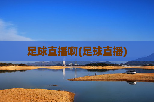 足球直播啊(足球直播)