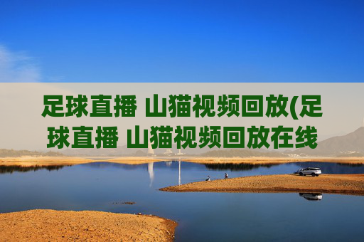 足球直播 山猫视频回放(足球直播 山猫视频回放在线观看)