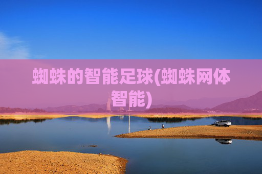 蜘蛛的智能足球(蜘蛛网体智能)
