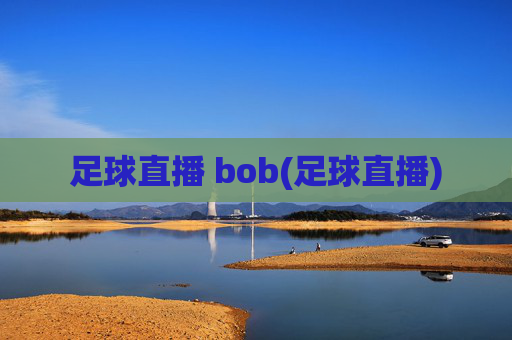 足球直播 bob(足球直播)