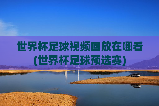 世界杯足球视频回放在哪看(世界杯足球预选赛)