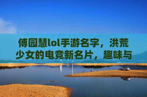 傅园慧lol手游名字，洪荒少女的电竞新名片，趣味与个性的巧妙融合，傅园慧lol手游名字，洪荒少女的电竞新名片，趣味与个性的巧妙融合