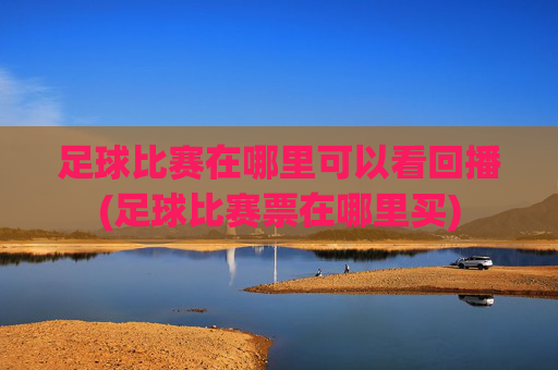 足球比赛在哪里可以看回播(足球比赛票在哪里买)