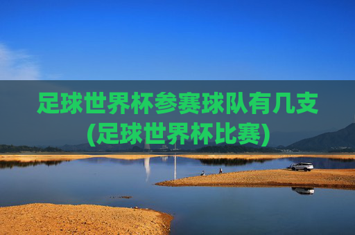 足球世界杯参赛球队有几支(足球世界杯比赛)