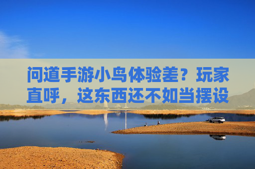 问道手游小鸟体验差？玩家直呼，这东西还不如当摆设，资源浪费