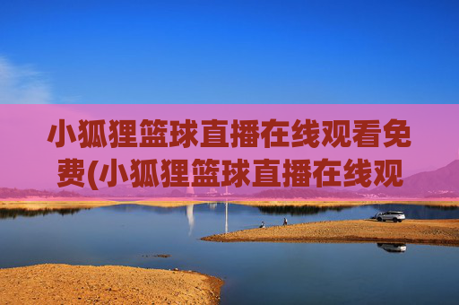 小狐狸篮球直播在线观看免费(小狐狸篮球直播在线观看免费视频)