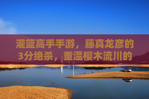 灌篮高手手游,藤真龙彦的3分绝杀,重温樱木流川的青春与篮球的极致之美,灌篮高手手游,藤真龙彦3分绝杀,重温樱木流川的青春与篮球极致之美