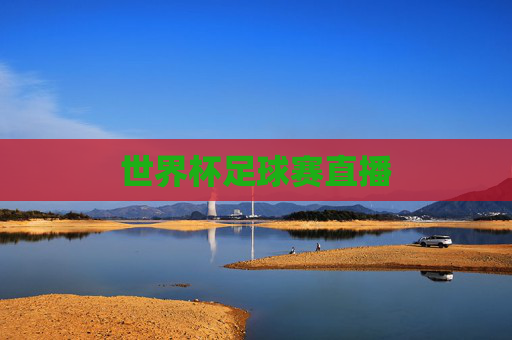 世界杯足球赛直播