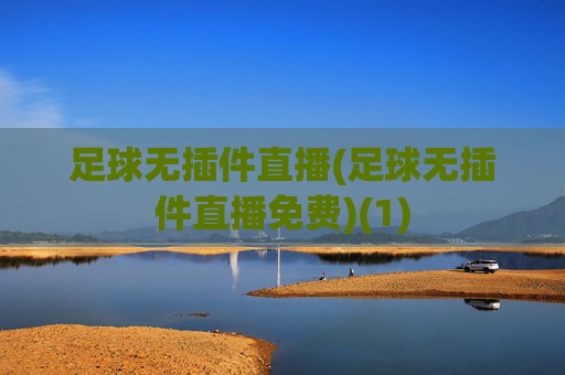 足球无插件直播(足球无插件直播免费)(1)