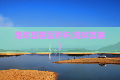 足球直播世界杯(足球直播)