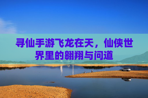 寻仙手游飞龙在天,仙侠世界里的翱翔与问道