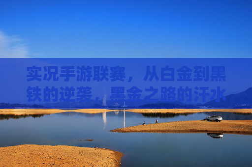 实况手游联赛，从白金到黑铁的逆袭，黑金之路的汗水与荣耀，实况手游联赛，从白金到黑铁的逆袭，黑金之路的汗水与荣耀