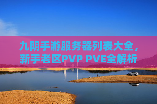 九阴手游服务器列表大全,新手老区PVP PVE全解析,如何找到你的专属服务器?