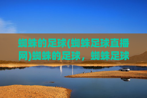 蜘蛛的足球(蜘蛛足球直播网)蜘蛛的足球，蜘蛛足球直播网，足球赛事直播平台