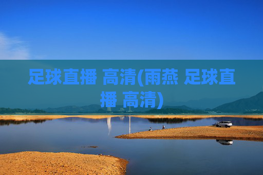 足球直播 高清(雨燕 足球直播 高清)