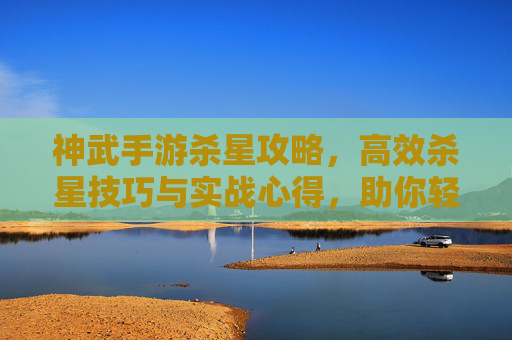 神武手游杀星攻略,高效杀星技巧与实战心得,助你轻松通关!