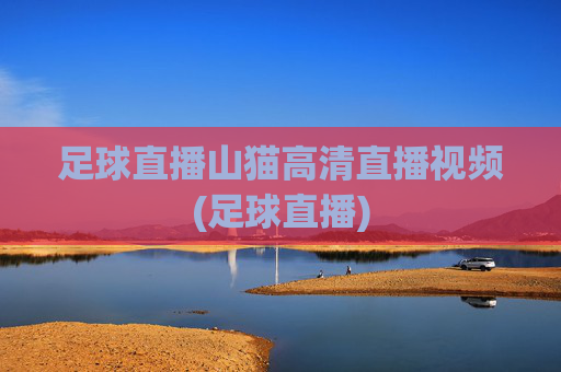 足球直播山猫高清直播视频(足球直播)