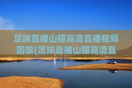 足球直播山猫高清直播视频回放(足球直播山猫高清直播视频回放在线观看)