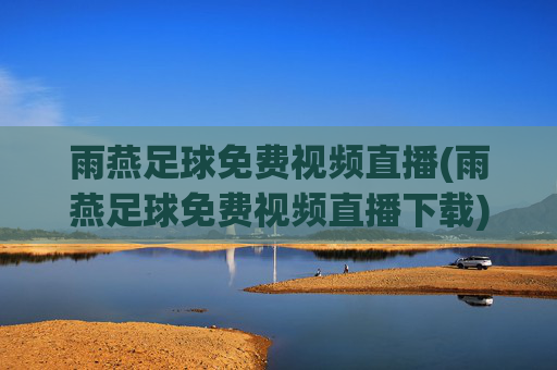 雨燕足球免费视频直播(雨燕足球免费视频直播下载)