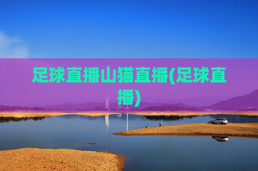 足球直播山猫直播(足球直播)
