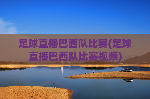 足球直播巴西队比赛(足球直播巴西队比赛视频)