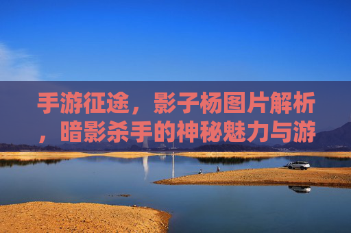 手游征途，影子杨图片解析，暗影杀手的神秘魅力与游戏体验