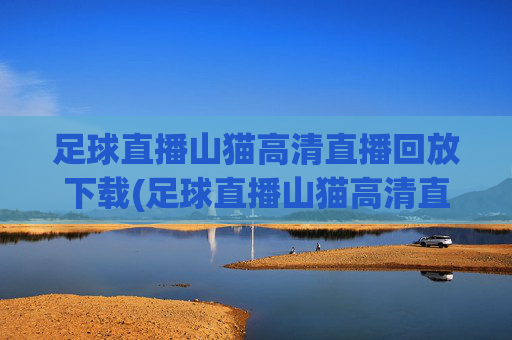 足球直播山猫高清直播回放下载(足球直播山猫高清直播回放下载安装)