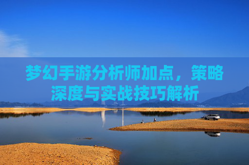 梦幻手游分析师加点，策略深度与实战技巧解析