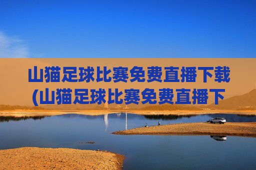 山猫足球比赛免费直播下载(山猫足球比赛免费直播下载安装)