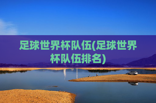 足球世界杯队伍(足球世界杯队伍排名)