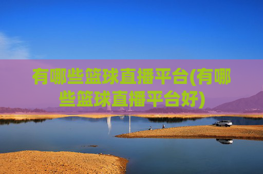 有哪些篮球直播平台(有哪些篮球直播平台好)