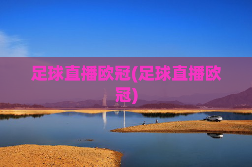 足球直播欧冠(足球直播欧冠)