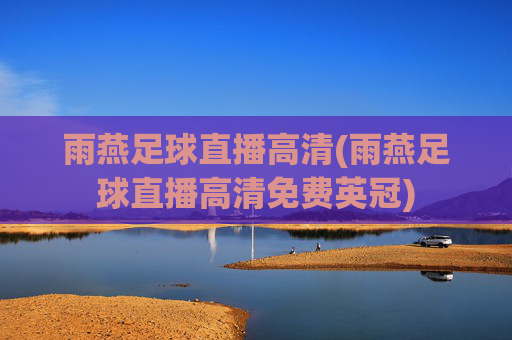雨燕足球直播高清(雨燕足球直播高清免费英冠)