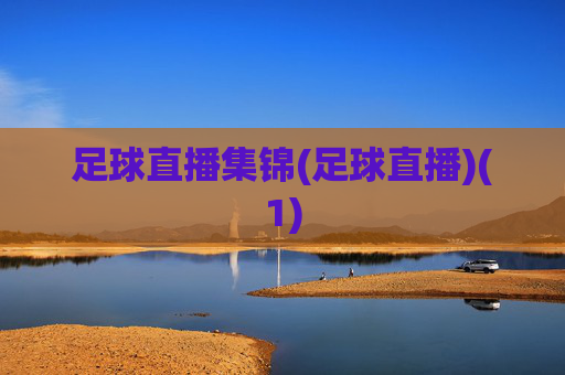 足球直播集锦(足球直播)(1)