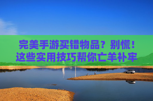完美手游买错物品?别慌!这些实用技巧帮你亡羊补牢