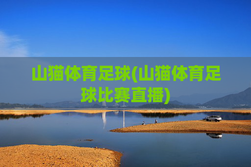 山猫体育足球(山猫体育足球比赛直播)