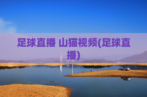 足球直播 山猫视频(足球直播)