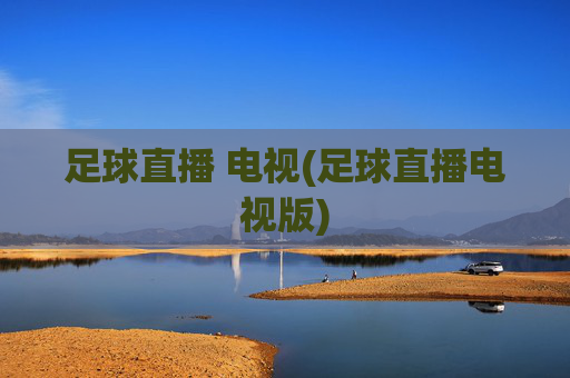 足球直播 电视(足球直播电视版)