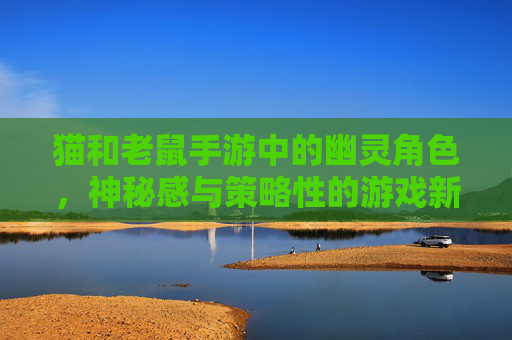 猫和老鼠手游中的幽灵角色,神秘感与策略性的游戏新体验